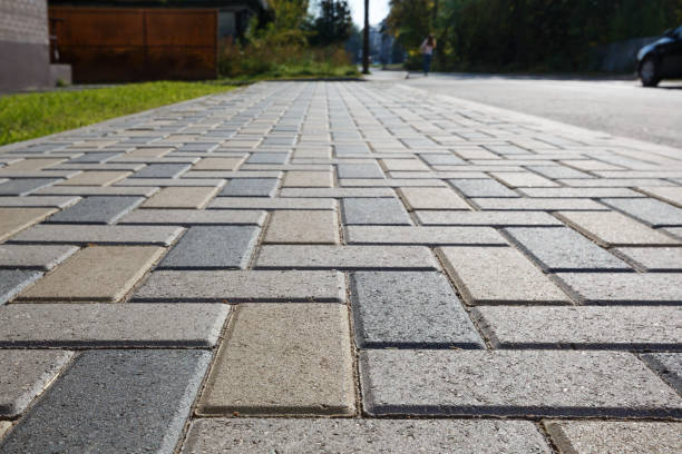 Best Driveway Pavers Contractor  in Monte Vista, CO