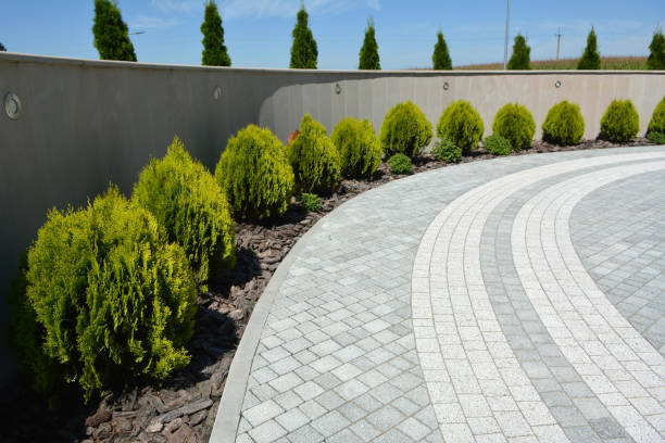 Best Concrete Paver Driveway  in Monte Vista, CO