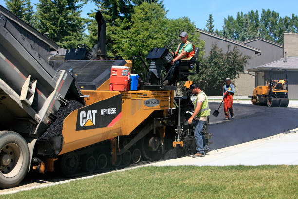 Best Custom Driveway Pavers  in Monte Vista, CO