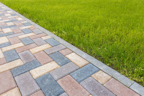 Best Driveway Pavers Near Me  in Monte Vista, CO